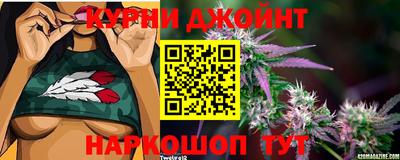 СК Ставрополь