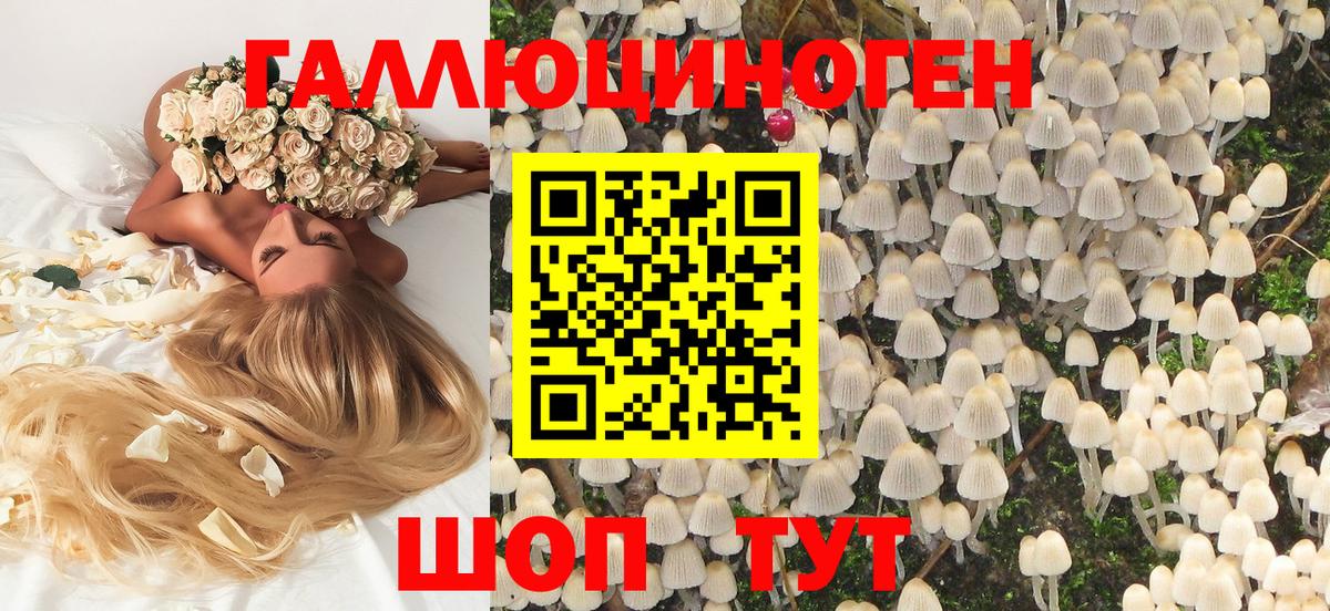 Галлюциногенные грибы GOLDEN TEACHER  Вход с VPN  Ноябрьск 